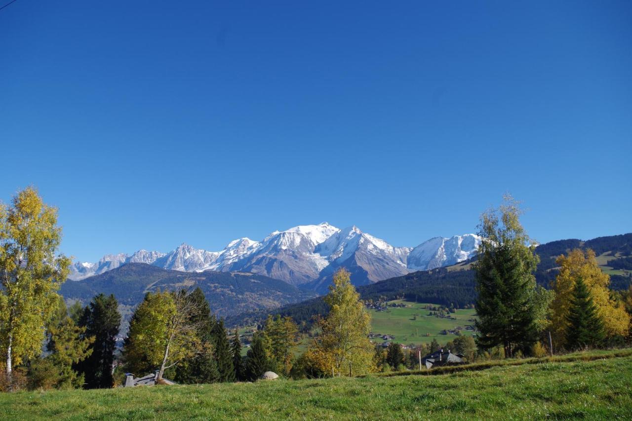 Chalet Le Sabot De Venus Combloux Zewnętrze zdjęcie